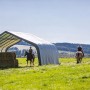 ShelterLogic Weidezelt 680x730 cm im Grünen mit Pferden und Quad. Ordnungssystem für den Garten.