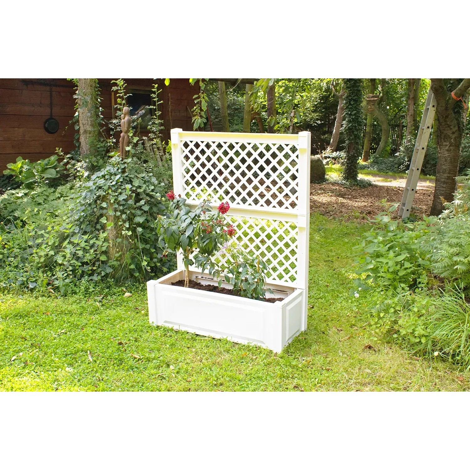 Weißer KHW Pflanzkasten mit Spalier, 140x100x43 cm, bepflanzt mit Rosen.