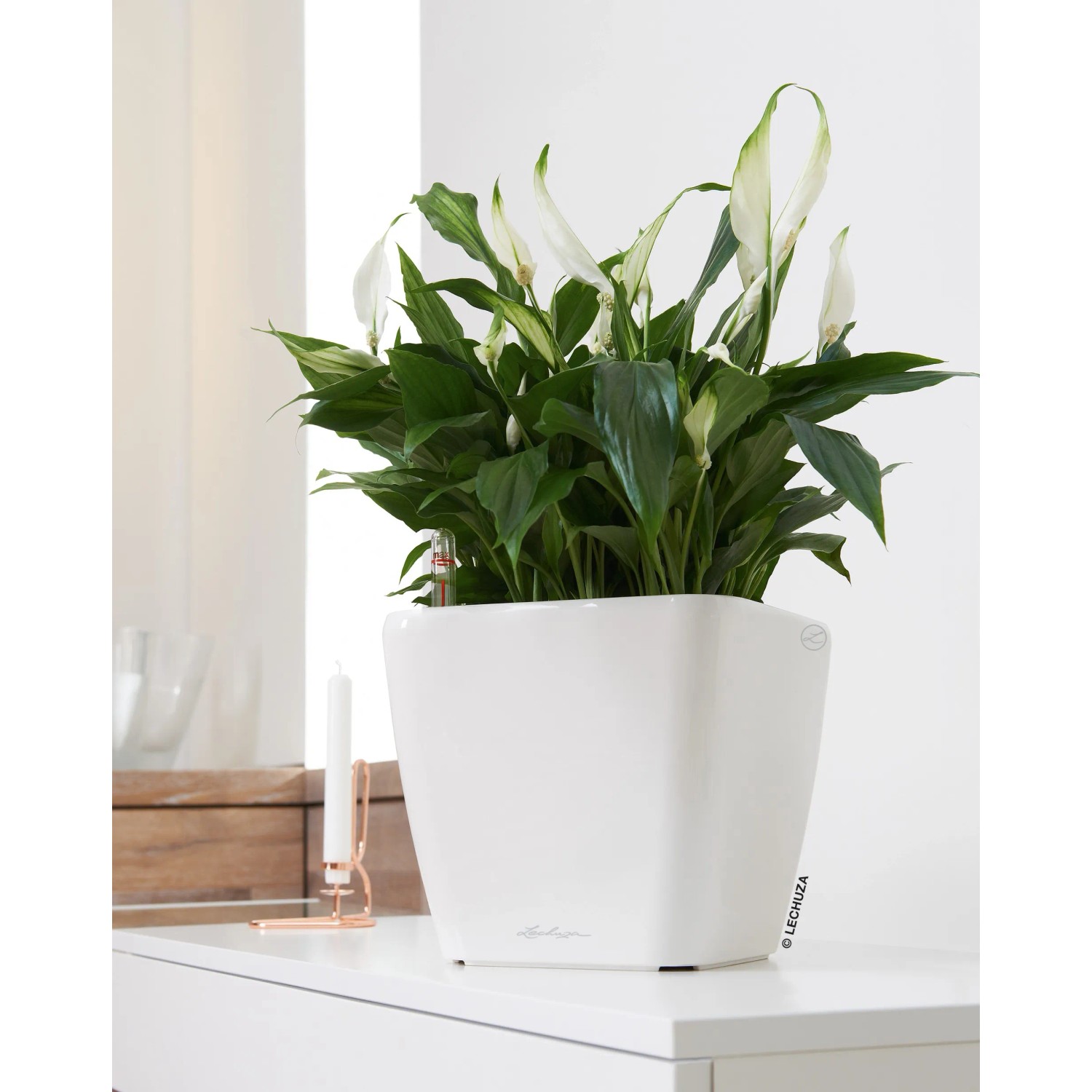Weißer, hochglänzender Lechuza Quadro Premium LS 43 Pflanztopf mit Grünpflanze auf weißem Tisch.