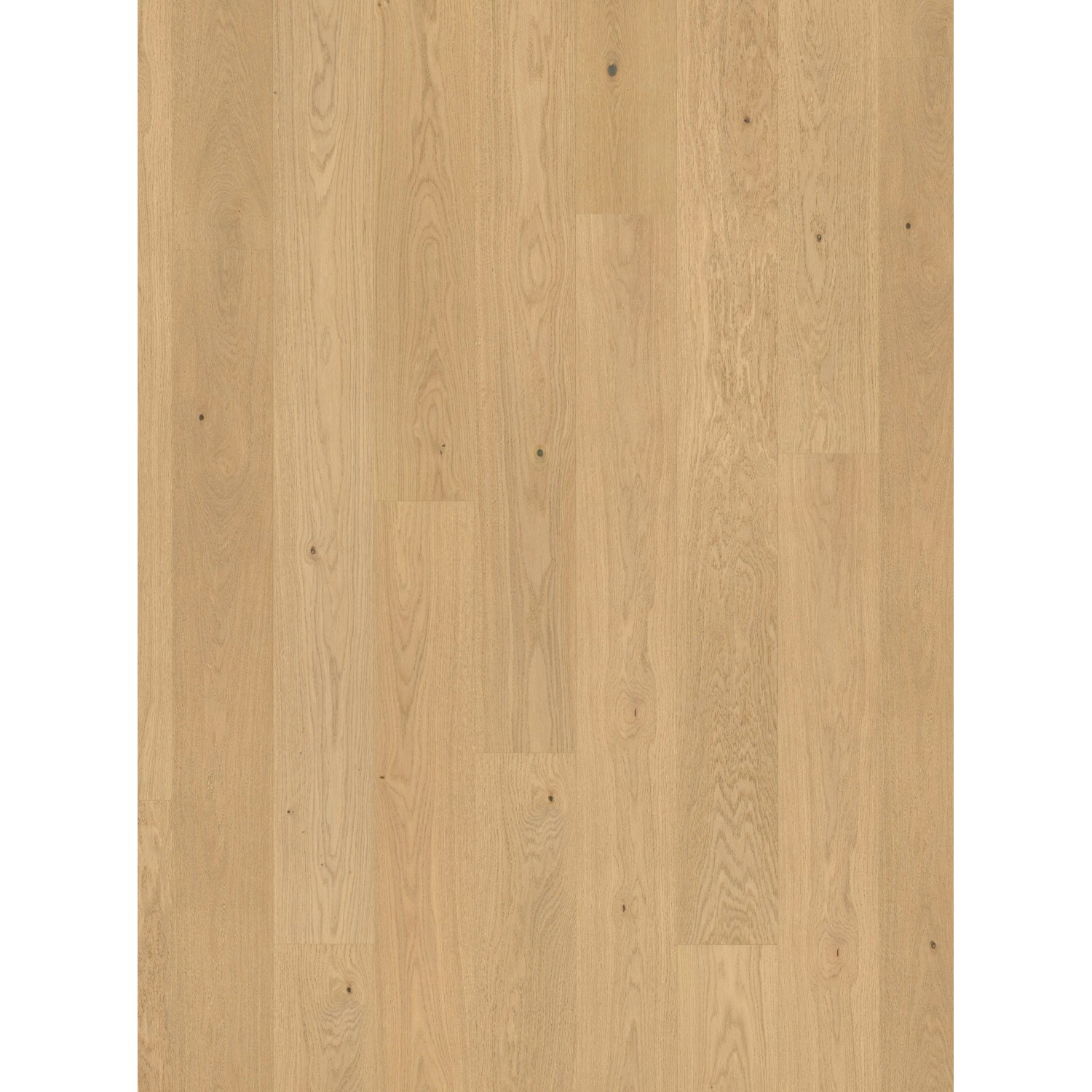Parador Parkettmuster 3060 Natur Eiche Sanded Landhausdiele Lackiert Matt