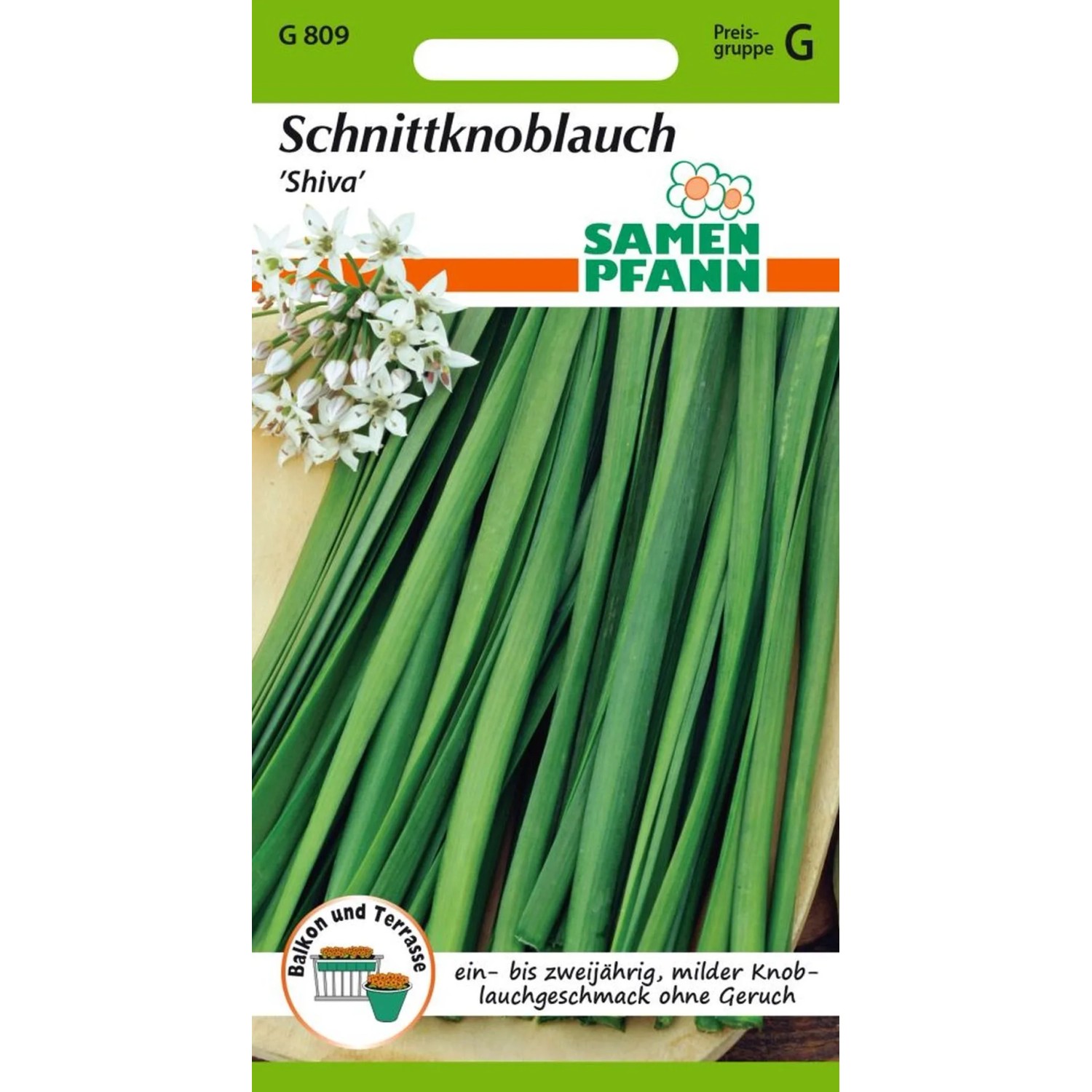 SAMEN PFANN Schnittknoblauch Shiva