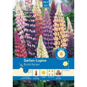 Pabst Keimkraft Lupine Bunte Kerzen Saatgut mit farbenfrohen Blütenständen.