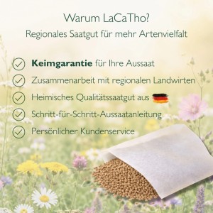 LaCaTho Glockenblume Samen: Offene Packung mit Samen vor Wildblumen. Regionales Saatgut für Artenvielfalt, Keimgarantie.