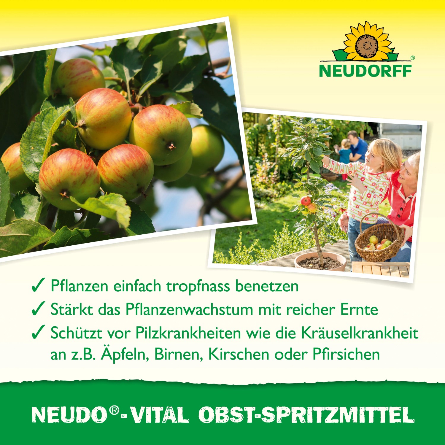 Neudorff Neudo-Vital Obst-Spritzmittel: Äpfel am Baum und Familie bei der Ernte.