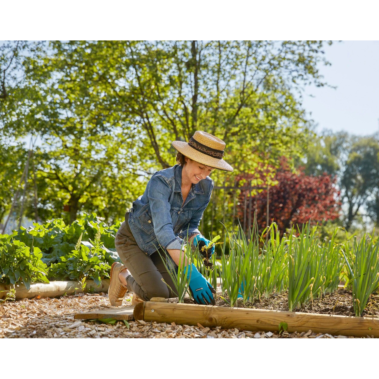 Frau pflanzt mit Gardena Pflanz- und Bodenhandschuhen 8/M im Garten.