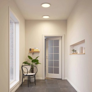 PRIOS LED Deckenleuchte Aureka 9917014 Modern in Alu aus Aluminium 1-flammig Wohnzimmerleuchte