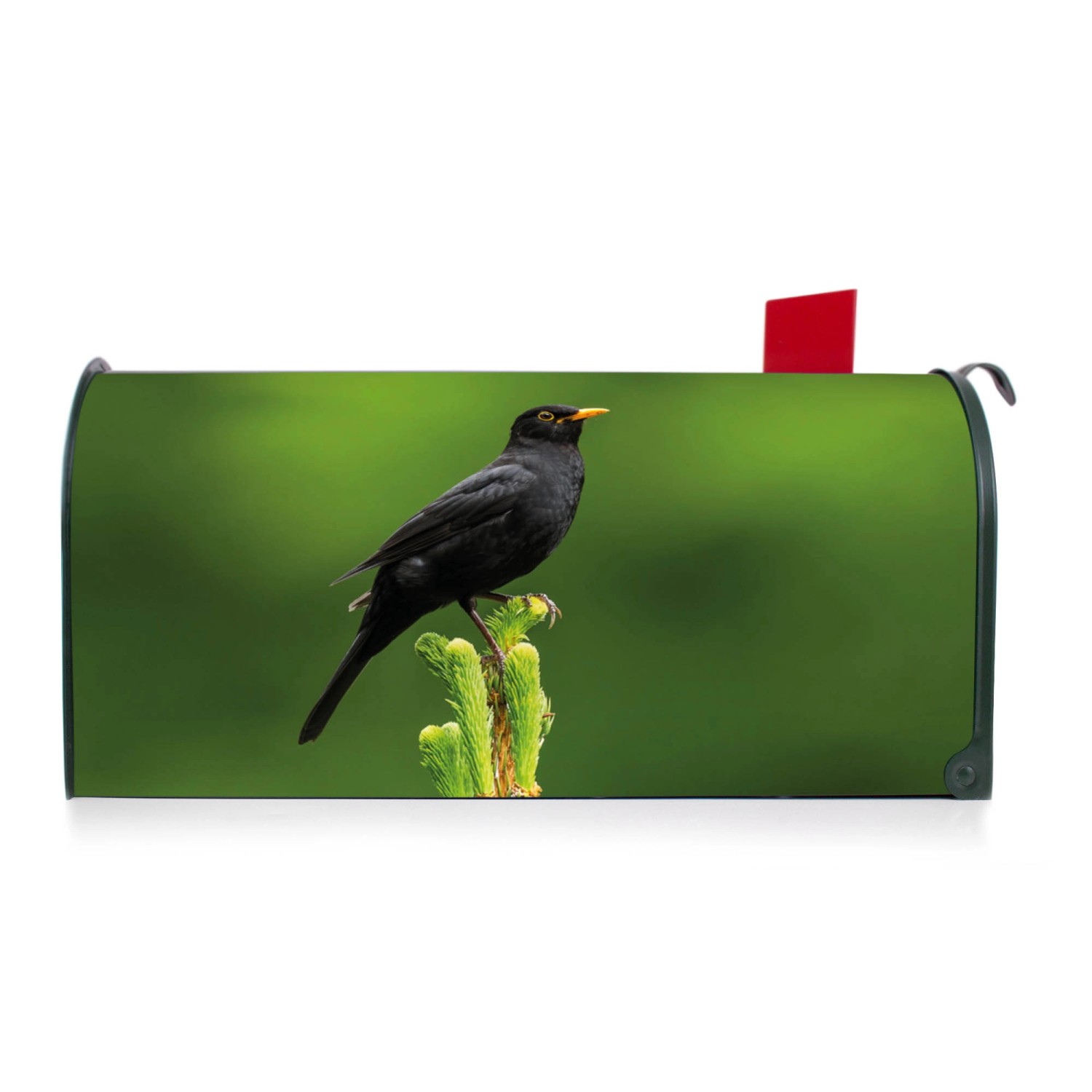 Grüner Banjado US Briefkasten mit Vogel auf Tannenzweig Motiv. Amerikanischer Postkasten.