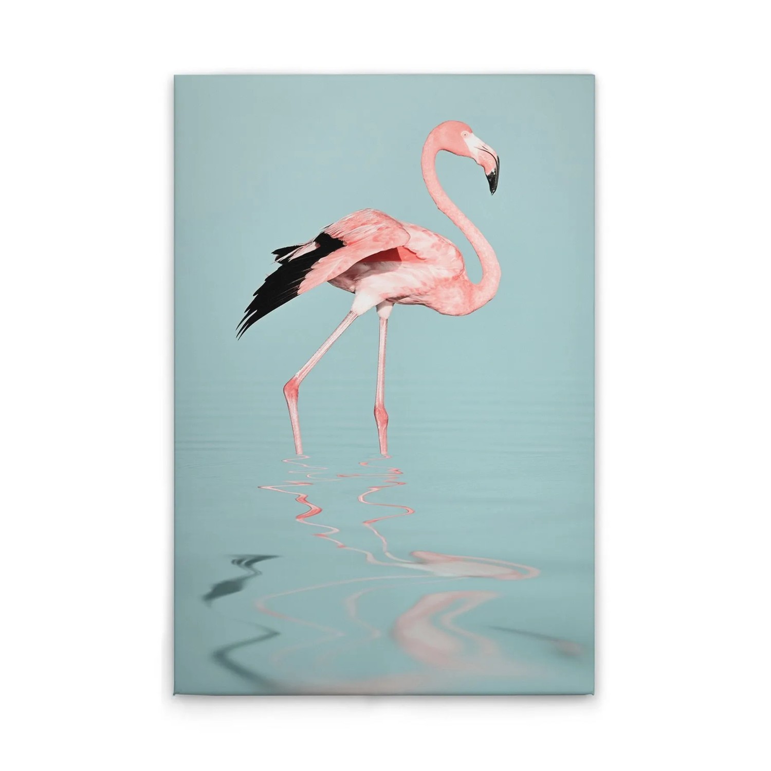 Tadessi Leinwandbild - M1-No.51074 - Flamingo im Wasser - 60 x 90 cm - Querformat
