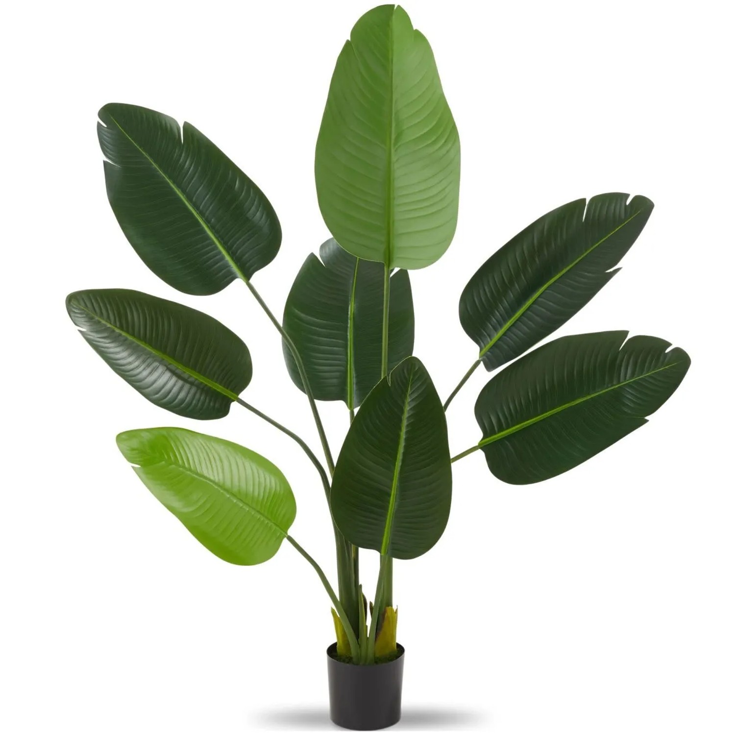 Tectake Künstlicher Paradiesvogelbaum Tropic Verschiedene Größen Detailliert und Naturgetreu  25 x 25 x 120 cm Grün