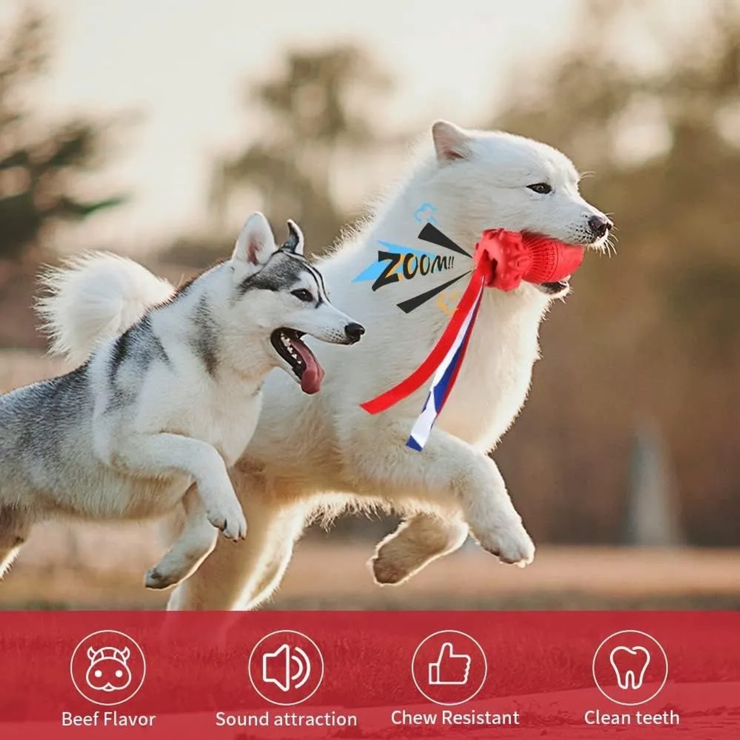 Zwei Hunde spielen mit rotem Petsation Kauspielzeug Rocket, Intelligenzspielzeug für Hunde.