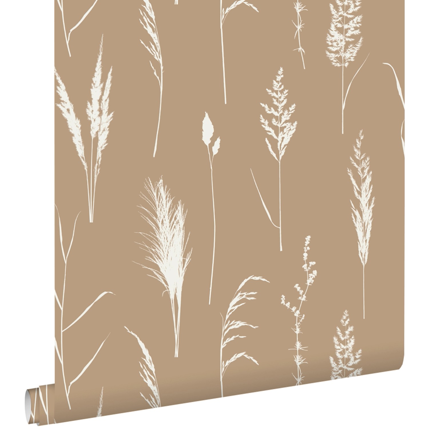 ESTAhome Tapete Pampasgras Beige 50 x 900 cm 139387 günstig online kaufen