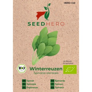 Seedhero BIO Spinat Winterreuzen Samen für ca. 250 Pflanzen.
