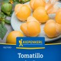 Kiepenkerl Physalis Tomatillo Amarylla: Gelbe Früchte mit Lampionhülle auf einem Teller.
