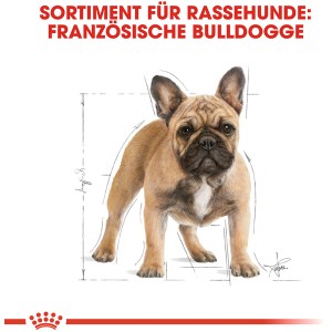 Royal Canin French Bulldog Adult Trockenfutter für Französische Bulldoggen, 3kg.