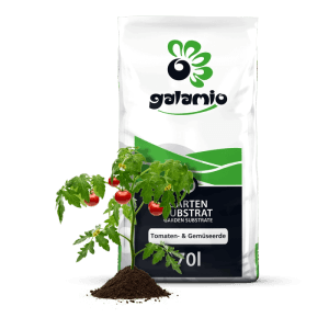 Weißer Galamio Sack Tomaten- & Gemüseerde 70l mit Tomatenpflanze und roten Früchten.