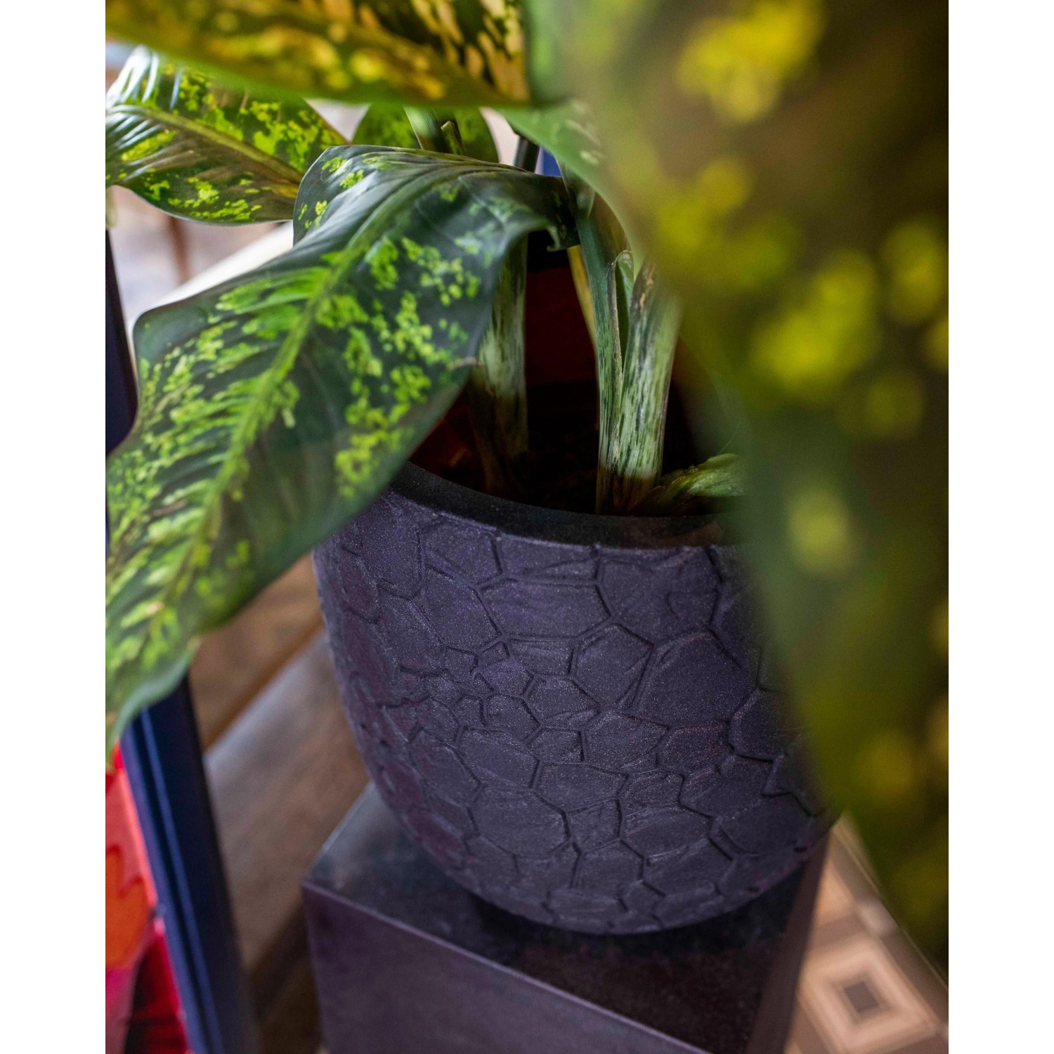 Schwarzer Capi Pflanztopf Kugel Clay (Ø 35cm) mit Pflanze, für Innen & Außen.