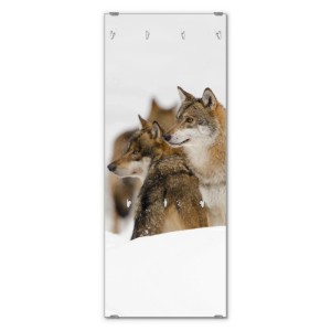 Banjado Glasgarderobe 50 x 125cm Modernes Design Mit 7 Haken Und Beschreibbar Motiv Wölfe
