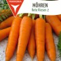 FRANKONIA Möhre Rote Riesen 2