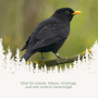 Orni Meisenknödel im Netz mit Sonnenblumenkerne für Wildvögel_6