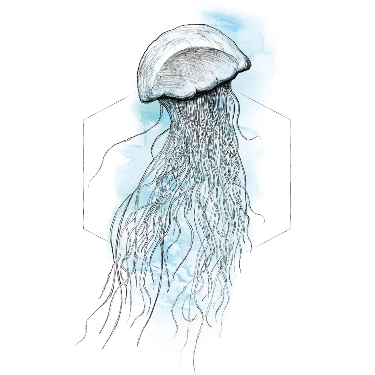 Komar Wandbild Jellyfish Watercolor 50 x 70 cm