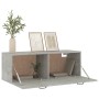 vidaXL Wandschrank, Betongrau, 100x36,5x35 cm, Holzwerkstoff, Büroschrank mit zwei Fächern.