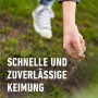 Hand sät Compo Rasensamen Spiel & Sport auf Rasen. Schnell keimender Rasensamen für strapazierfähigen Rasen.