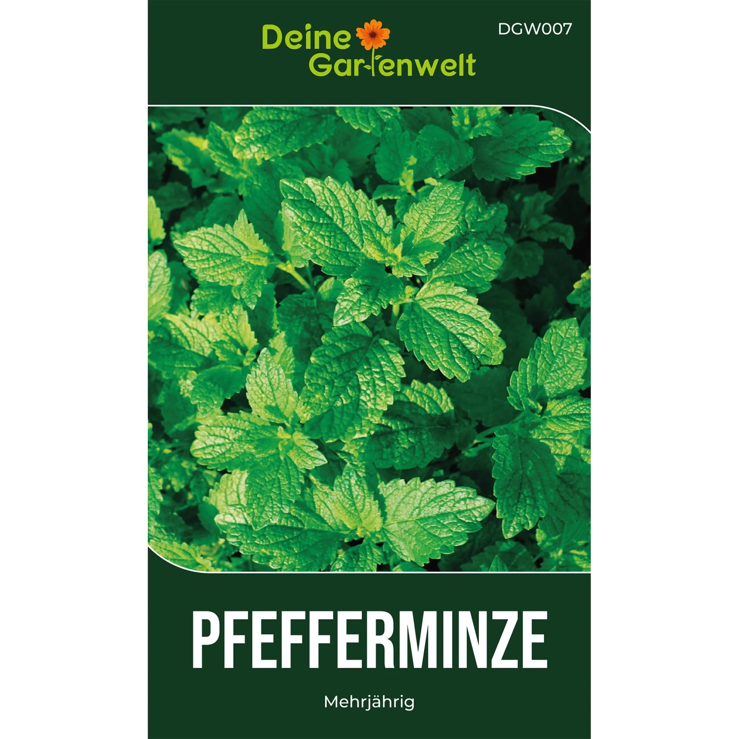 Deine Gartenwelt Pfefferminze Samen