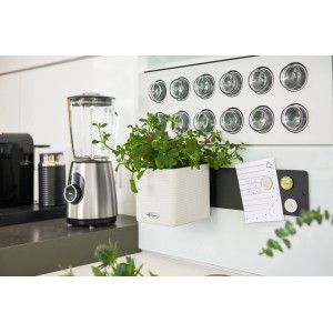 Lechuza Green Wall Home Kit Color Weiß mit Kräutern an Küchenwand.