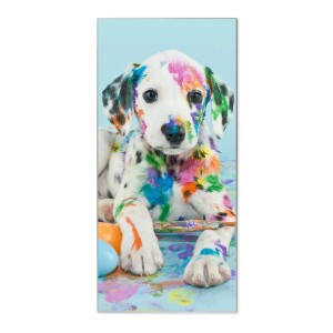 Bunte Magnettafel mit Dalmatiner-Motiv. Silberne Magnetwand für Notizen und Fotos, inkl. 4 Magnete.