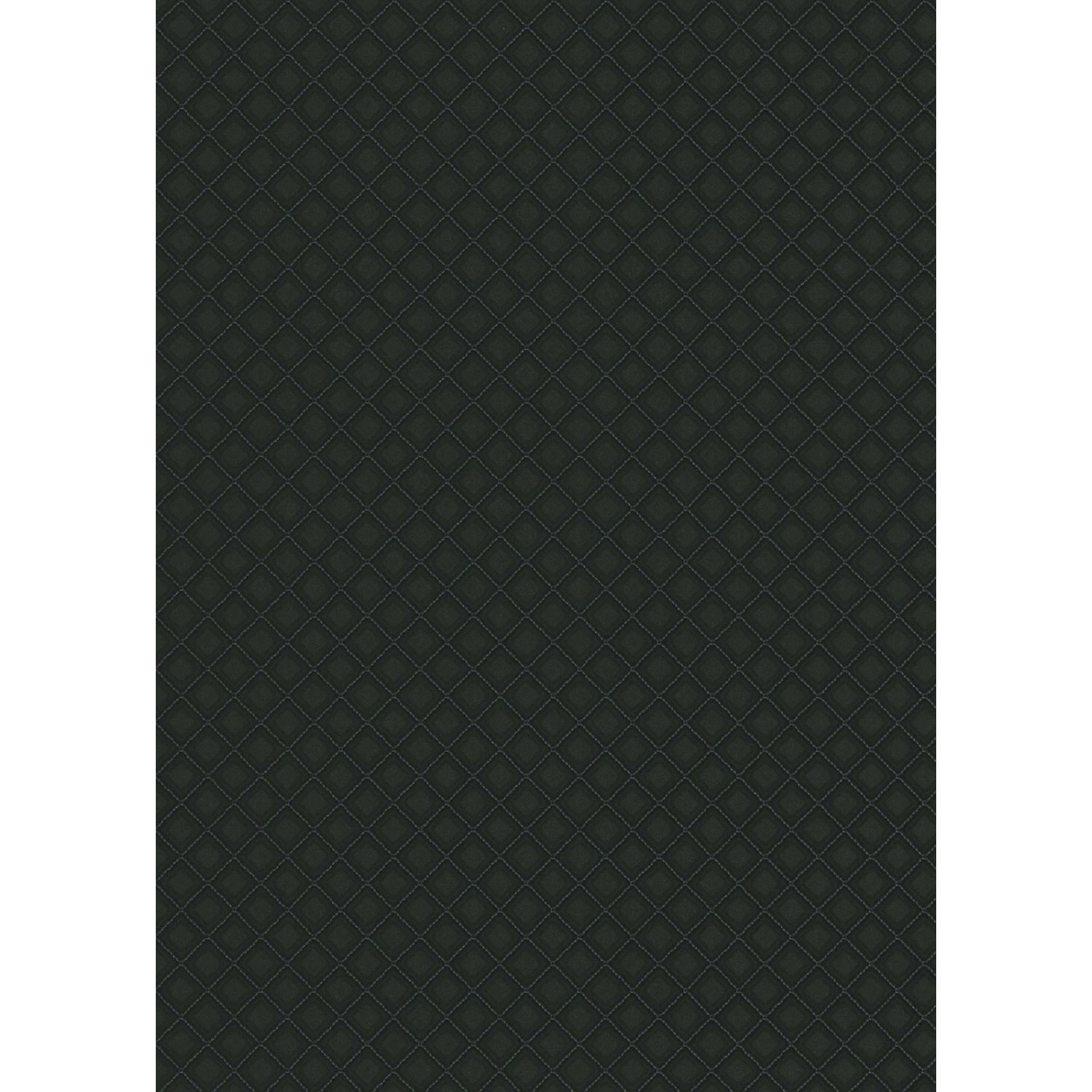 Bricoflor Vliestapete Grafisch in Schwarz