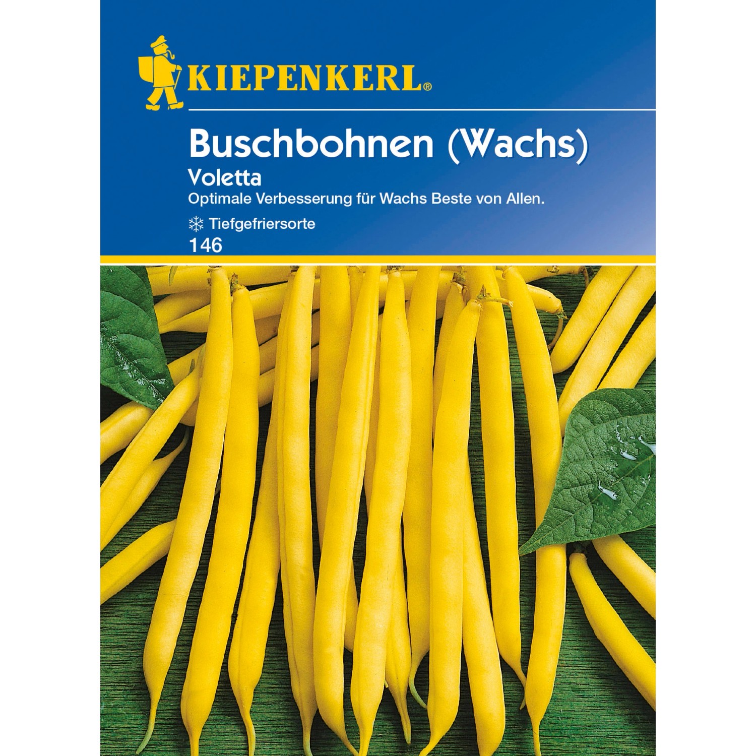 Kiepenkerl Buschbohnen Voletta