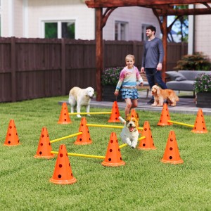 Hund im Agility Set mit orangen Hütchen und gelben Stangen beim Springen im Garten.