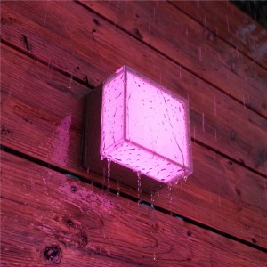 Philips Hue Semeru quadratische Wandleuchte in Pink an Holzwand, im Regen. Wetterfeste Außenleuchte.