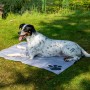 Graue Dobar Kühlmatte (99,5x70cm) mit Pfotenmuster. Hund liegt entspannt auf der Matte im Garten.
