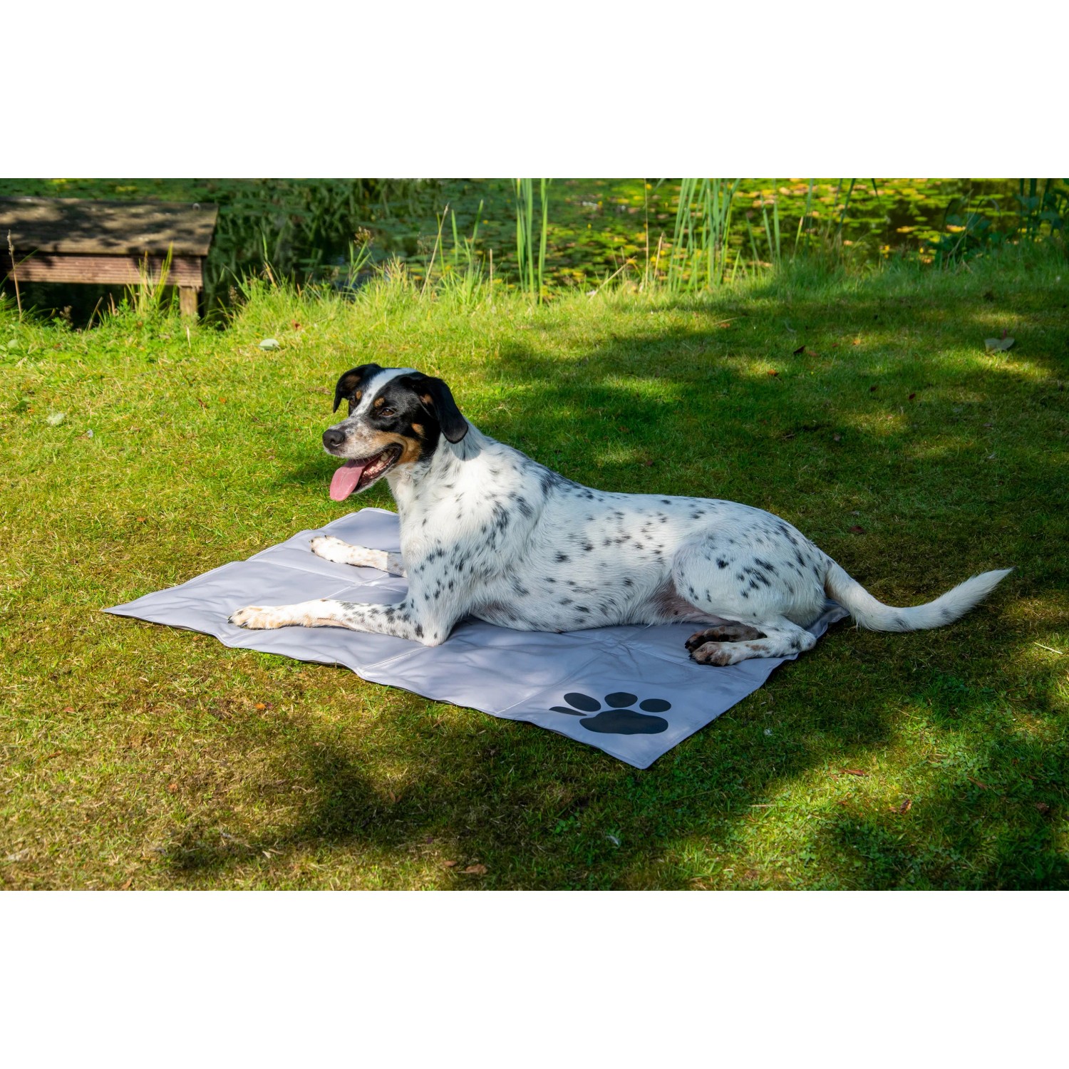 Graue Dobar Kühlmatte (99,5x70cm) mit Pfotenmuster. Hund liegt entspannt auf der Matte im Garten.