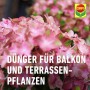 Compo Universal-Blumendünger für Balkon- und Terrassenpflanzen, Nahaufnahme rosa Hortensienblüten.