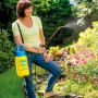 Gloria Drucksprüher Prima 3 mit 3 bar kaufen bei OBI