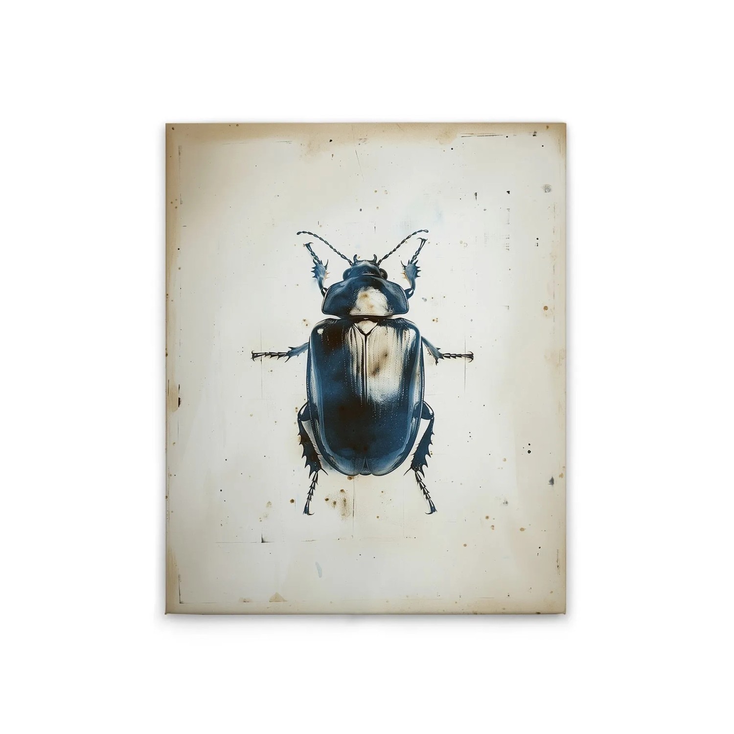 Tadessi Leinwandbild - M1-No.51788 - Käfer Vintage Blau - 40 x 50 cm - Querformat