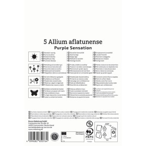 Verpackung von 5 Kiepenkerl Zierlauch Purple Sensation Blumenzwiebeln mit lila Blüten.