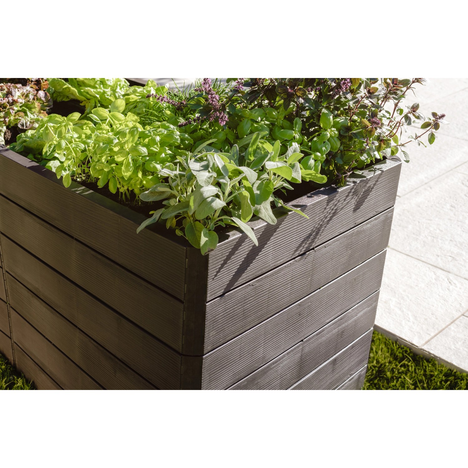 Garantia Hochbeet-System Ergo Quadro Wood, Kunststoff-Hochbeet mit Bepflanzung.