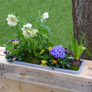 GreenLife Blumenkasten 3er Set mit blühenden Pflanzen auf einer Holzpalette.