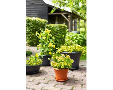 BLUMENTOPF PFLANZTOPF RUND TERRA COTTA TONTOPF 37 cm (Gebraucht) in Zug für CHF 11 - nur