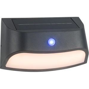AEG LED-Außenwandleuchte Payton Solar mit Bewegungsmelder, graue Außenlampe.