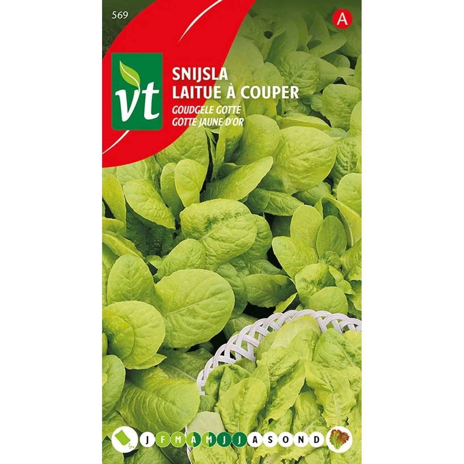Kopfsalat Geschnitten Golden Yellow Gotte SamenCa. 4 grSchnellwachsende Pflanze