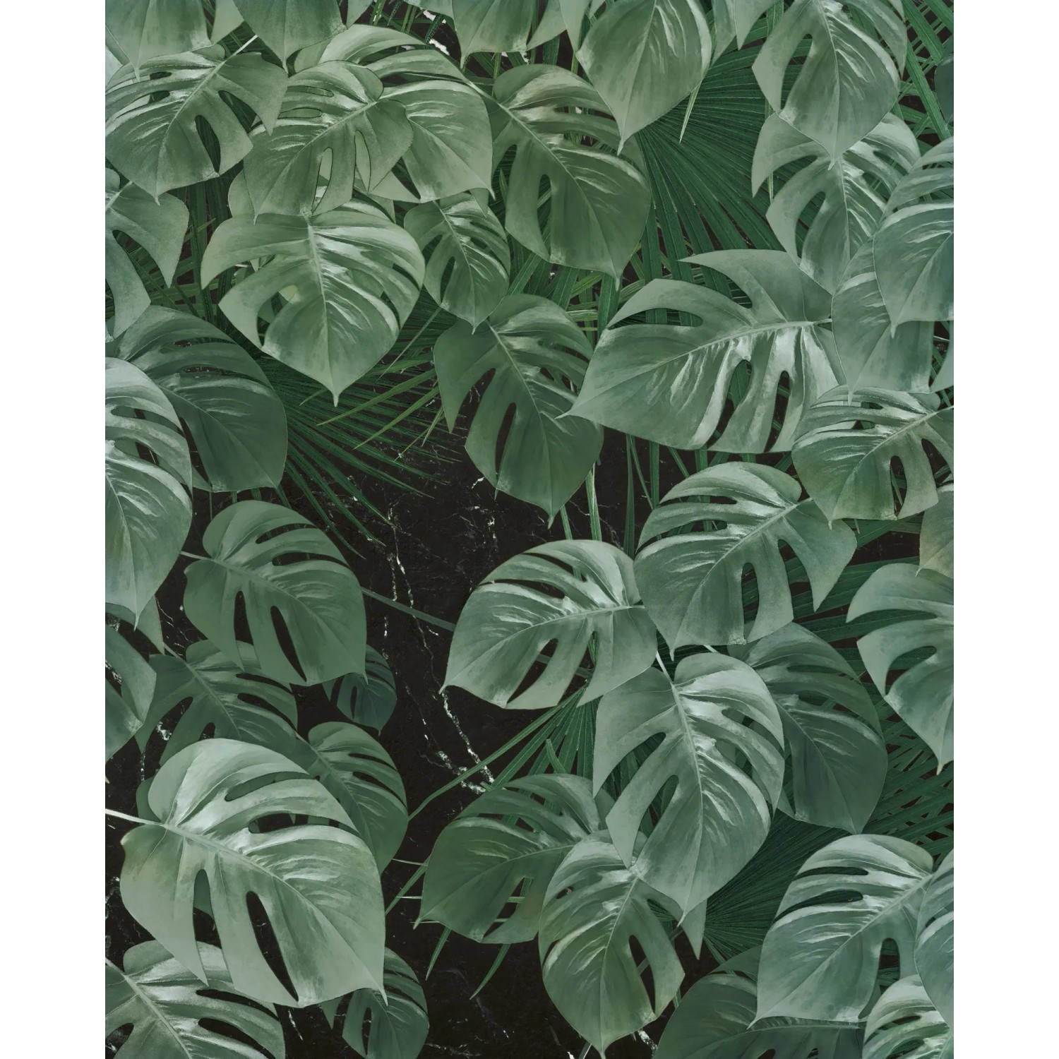 Komar Vliestapete Pure Monstera on Marble, glatt, naturalistisch