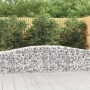 7er Set vidaXL Gabionen mit Hochbogen, 400x50x60/80cm, aus verzinktem Eisen, als dekorativer Wind- und Sichtschutz.