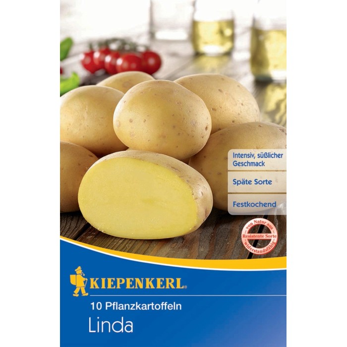 Saatkartoffeln kaufen bei OBI
