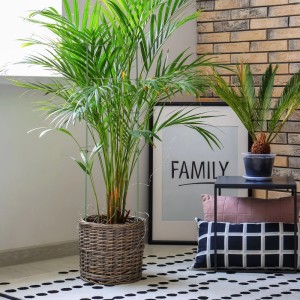 Relaxdays Rankhilfe 6er Set Stahl Grün Höhenverstellbar Klappbar 90 cm x 28 cm