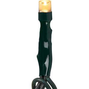 Detailaufnahme: Warmweiße LED Lichterkette mit grünem Kabel für Außen, Timer-Funktion.