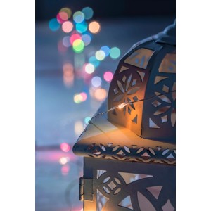 Konstsmide Micro LED Lichterkette mit Farbwechsel und 100 Dioden in Laterne.